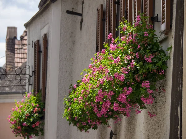 Viyana ve tuna Vadisi