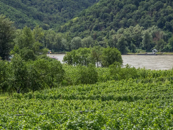 Viyana ve tuna Vadisi