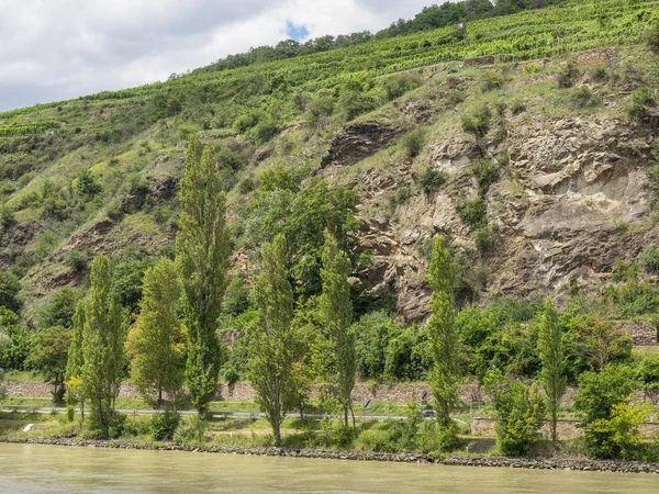 Vienna Danube Valley — Stock Photo, Image