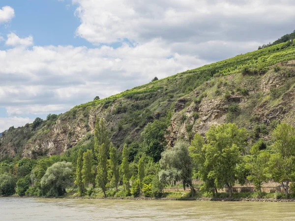 Viyana ve tuna Vadisi