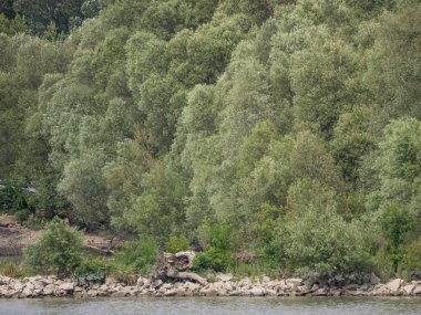 Nehir gezisi Avusturya ve Macaristan