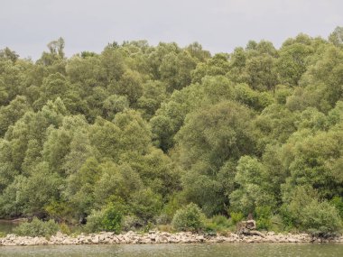 Nehir gezisi Avusturya ve Macaristan