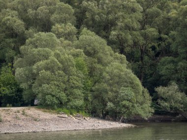 Nehir gezisi Avusturya ve Macaristan