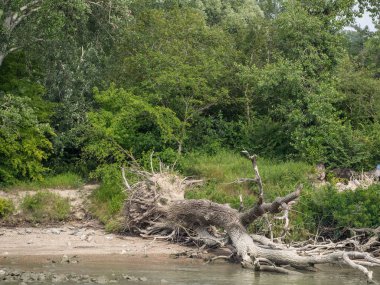 Nehir gezisi Avusturya ve Macaristan