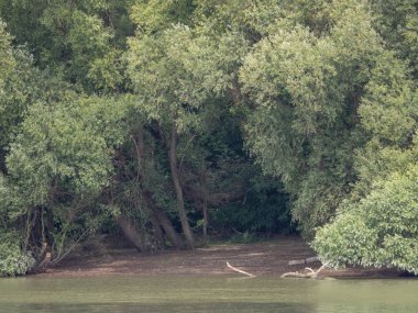 Budapeşte ve Tuna Nehri gezisi 