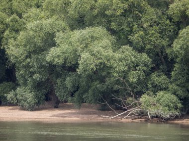 Budapeşte ve Tuna Nehri gezisi 