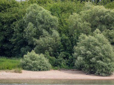 Budapeşte ve Tuna Nehri gezisi 