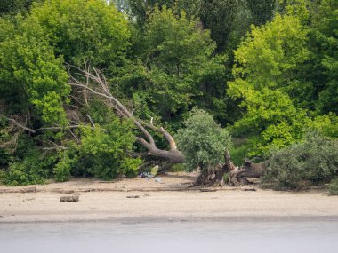 Budapeşte ve Tuna Nehri gezisi 
