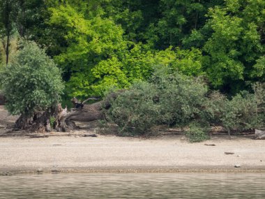 Budapeşte ve Tuna Nehri gezisi 