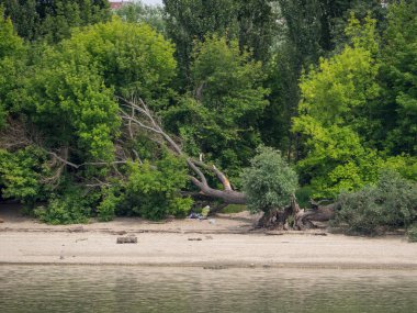 Budapeşte ve Tuna Nehri gezisi 