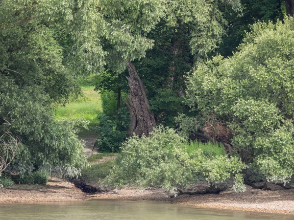 Budapeşte ve Tuna Nehri gezisi 