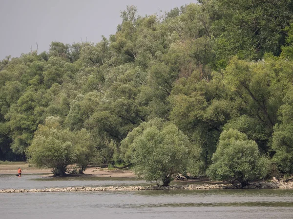 Budapest Dunán Hajókázás — Stock Fotó