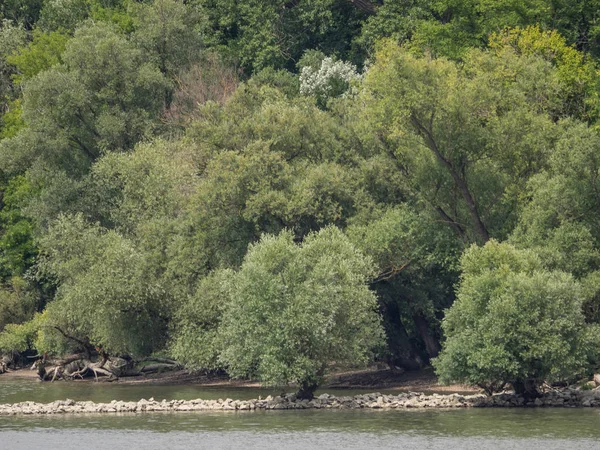 Budapeşte ve Tuna Nehri gezisi 