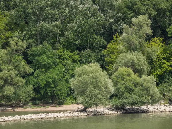 Budapeşte ve Tuna Nehri gezisi 