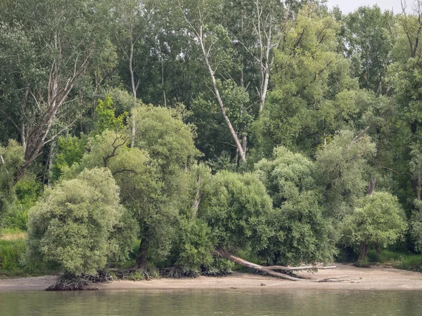 Budapest Und Eine Donau Flusskreuzfahrt — Stockfoto