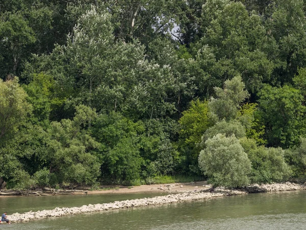 Budapeşte ve Tuna Nehri gezisi 