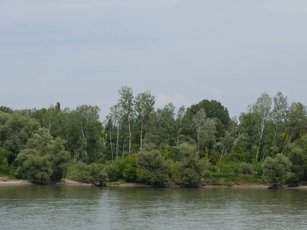 Fin Flodkryssning Donau — Stockfoto