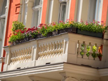 Bratislava ve Tuna Nehri