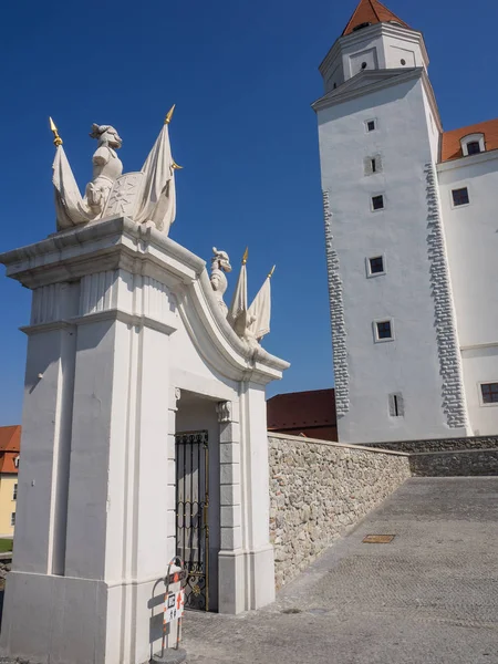 Bratislava Und Die Donau — Stockfoto