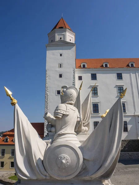 Bratislava Río Danubio — Foto de Stock