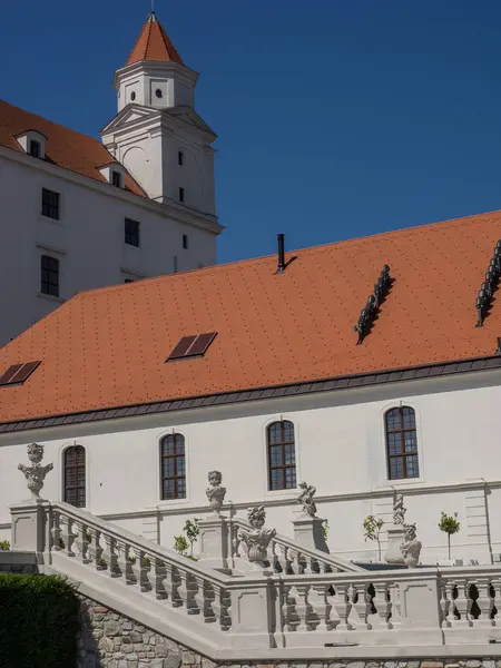 Bratislava Och Floden Donau Slovakien — Stockfoto