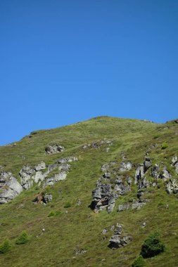 Avusturya Alpleri'nde hiking