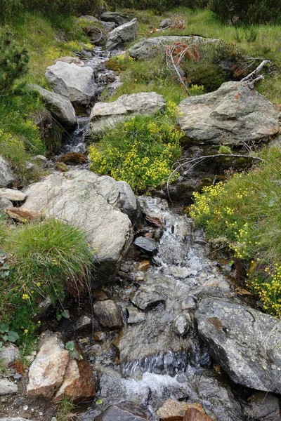 Wandelen Oostenrijkse Alpen — Stockfoto