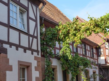 Fransız Alsace ve Alman pfalz