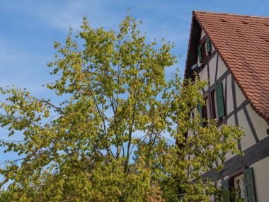 Fransız Alsace ve Alman pfalz