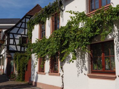 Fransız Alsace ve Alman pfalz