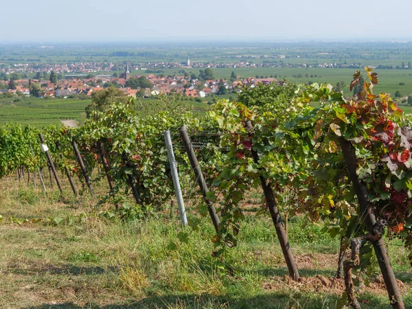 Het Prachtige Duitse Pfalz — Stockfoto