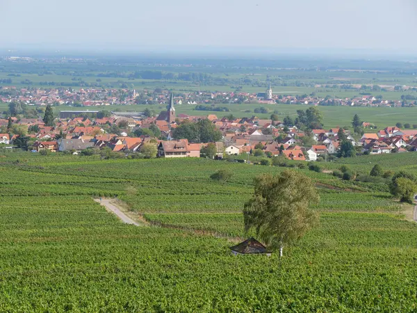 Die Schöne Deutsche Pfalz — Stockfoto