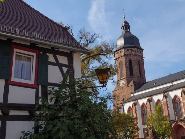 Das Französische Elsass Und Die Deutsche Pfalz — Stockfoto