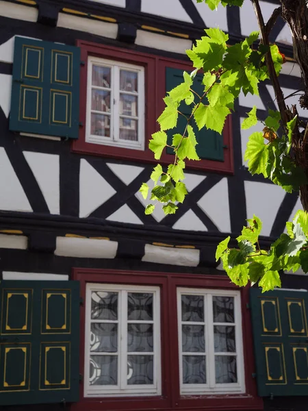 Alsace Francouzské Německé Pfalz — Stock fotografie