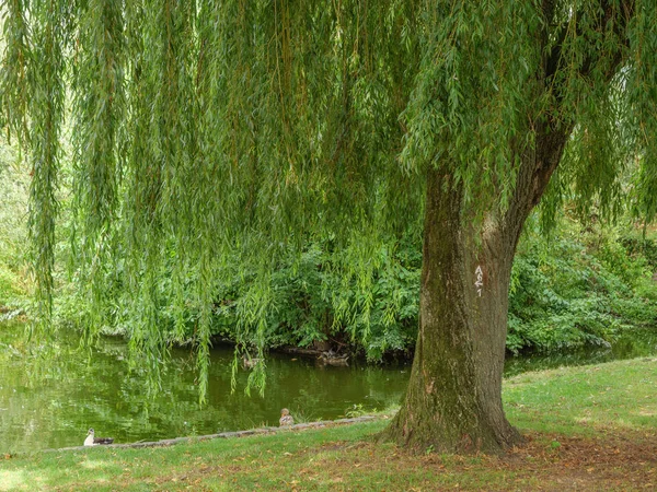 Deutschen Münsterland — Stockfoto