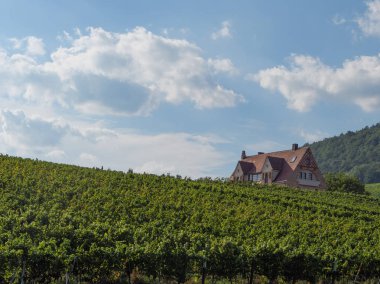 Alman pfalz