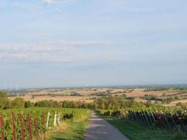 Alman Pfalz 'ındaki Kandel şehri.
