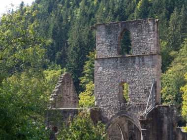 Almanya'da Kara Orman