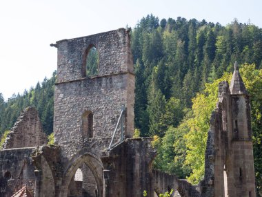 Almanya'da Kara Orman