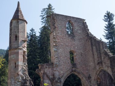 Almanya'da Kara Orman