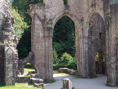 Almanya'da Kara Orman