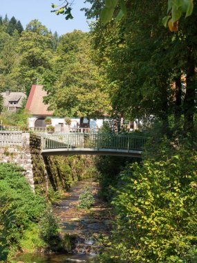 Almanya'da Kara Orman