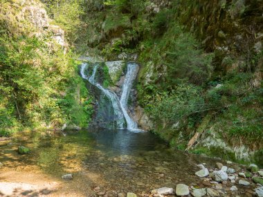 Almanya'da Kara Orman