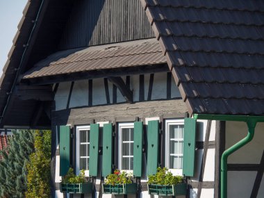 Almanya'da Kara Orman