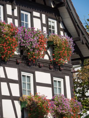 Almanya'da Kara Orman