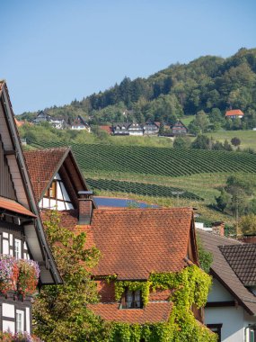 Almanya'da Kara Orman