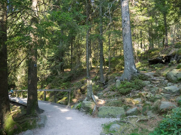 Foresta Nera Germania — Foto Stock