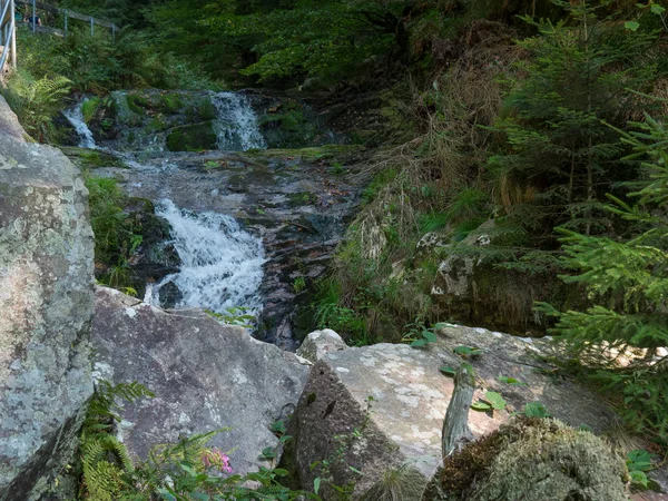 Foresta Nera Germania — Foto Stock