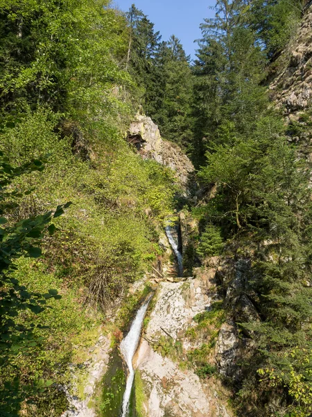 Der Schwarzwald Deutschland — Stockfoto