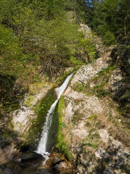 Bosque Negro Alemania — Foto de Stock